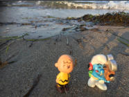 Fotoschlumpfs Abenteuer und Charlie Brown erkunden Ostsee