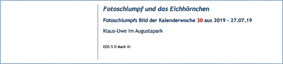 Fotoschlumpf und das Eichhrnchen Fotoschlumpfs Bild der Kalenderwoche 30 aus 2019 - 27.07.19 Klaus-Uwe im Augustapark  EOS 5 D Mark III